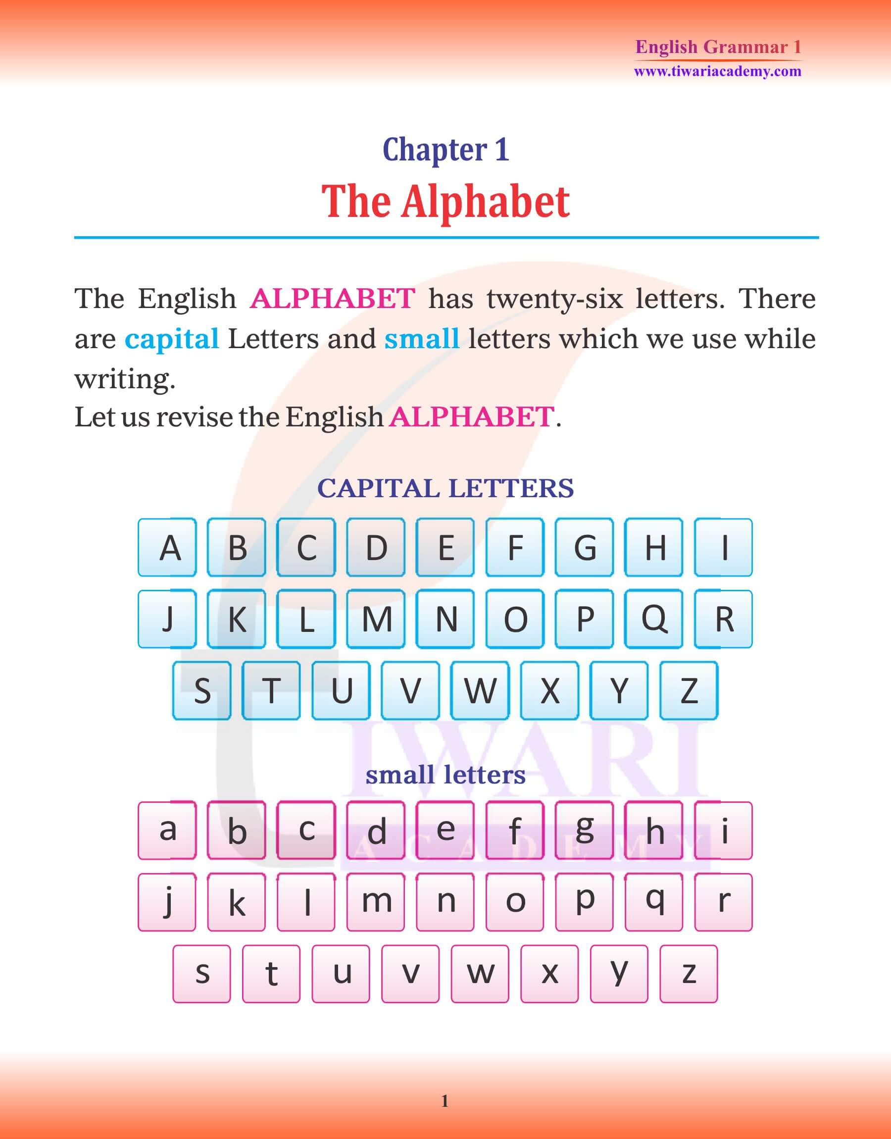 Class English Grammar Chapter The Alphabet Small Capital Letter