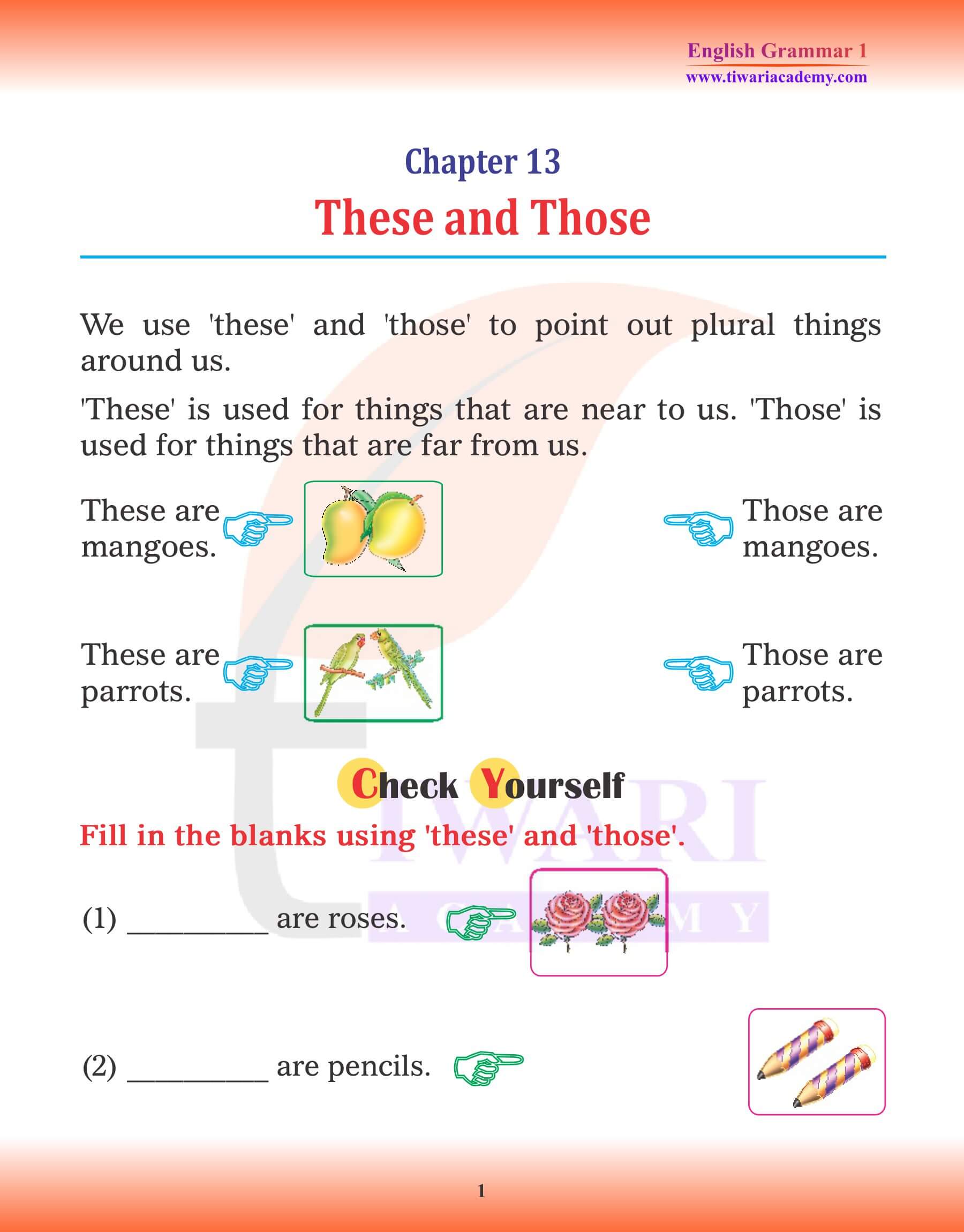 Ncert Solutions For Class English Grammar Chapter These And Those