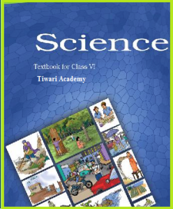 NCERT Solutions Class 6 Science PDF