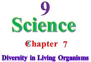 NCERT Solutions for Class 9 Science Chapter 7 in PDF