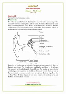 class 9 science chapter 12 solutions in PDF