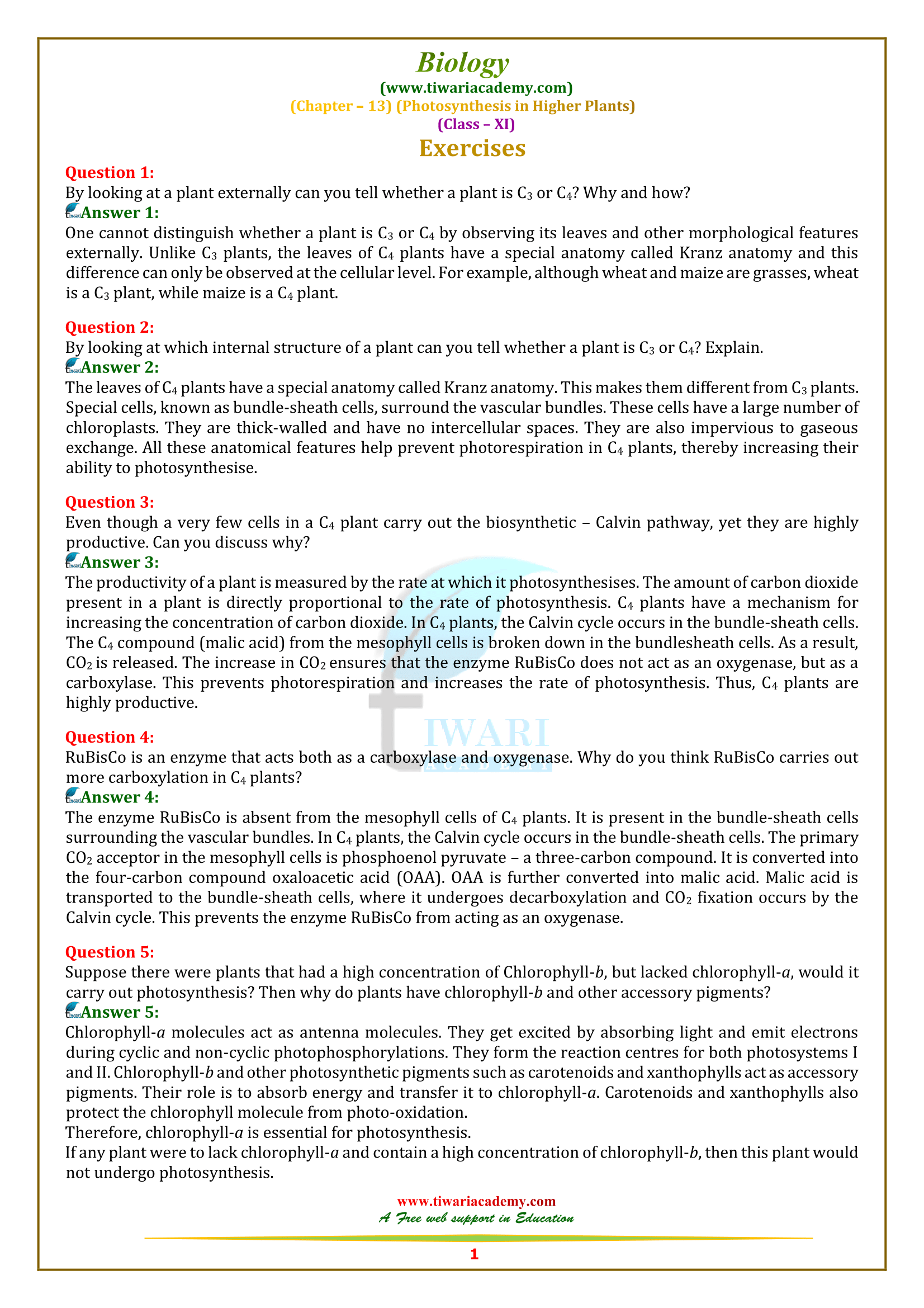 NCERT Solutions For Class 11 Biology Chapter 13 In PDF For 2023-24.