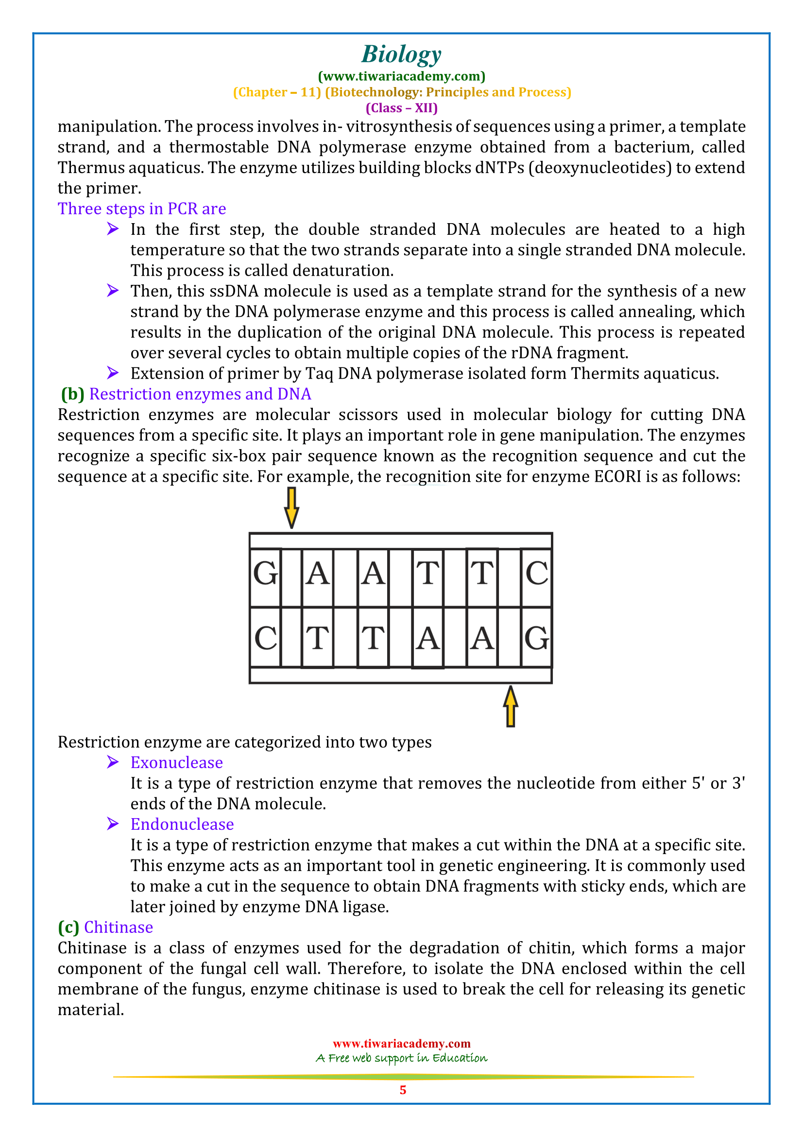 NCERT Solutions For Class 12 Biology Chapter 11 In PDF For 2023-24