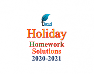 Holiday Homework Solutions 2024-25