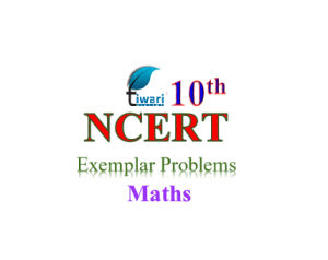 NCERT Exemplar problems for class 10 Maths