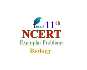 NCERT Exemplar problems for class 11 Biology