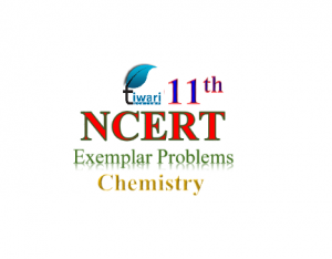 NCERT Exemplar problems for class 11 Chemistry