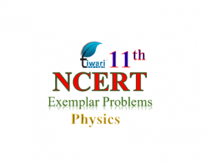 NCERT Exemplar problems for class 11 Physics