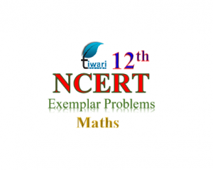 NCERT Exemplar problems for class 12 Maths