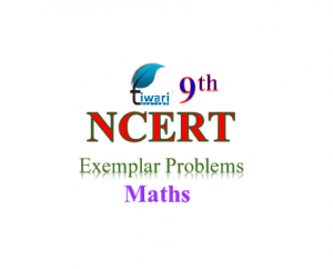 NCERT Exemplar problems for class 9 Maths
