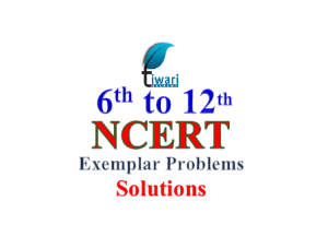 NCERT Exemplar problems for 6 to 12