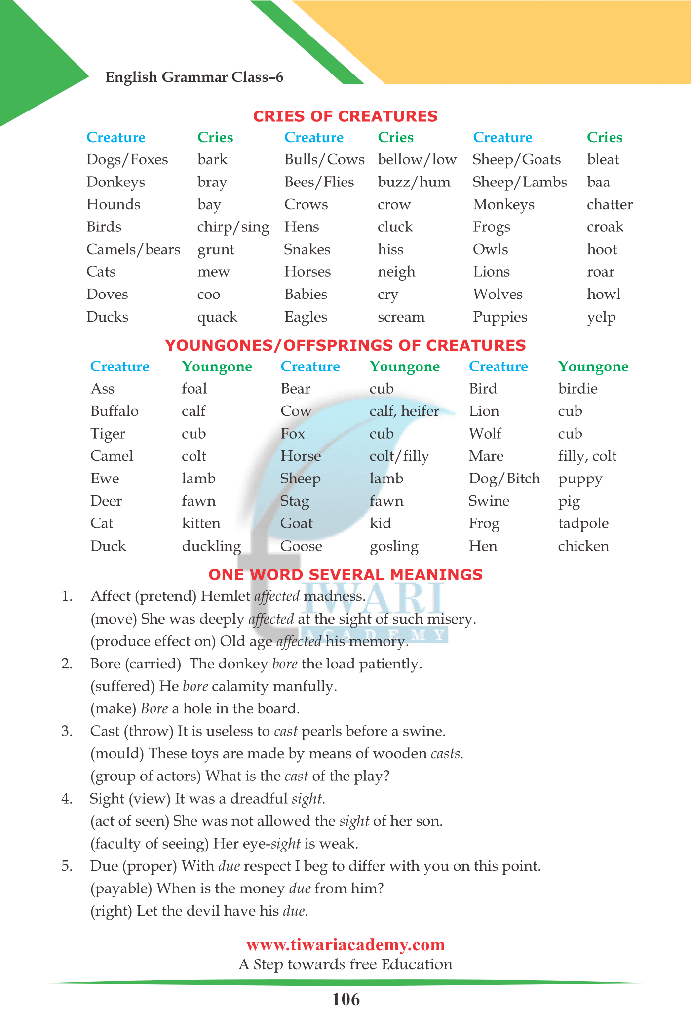 class-6-english-grammar-chapter-25-vocabulary-and-word-power