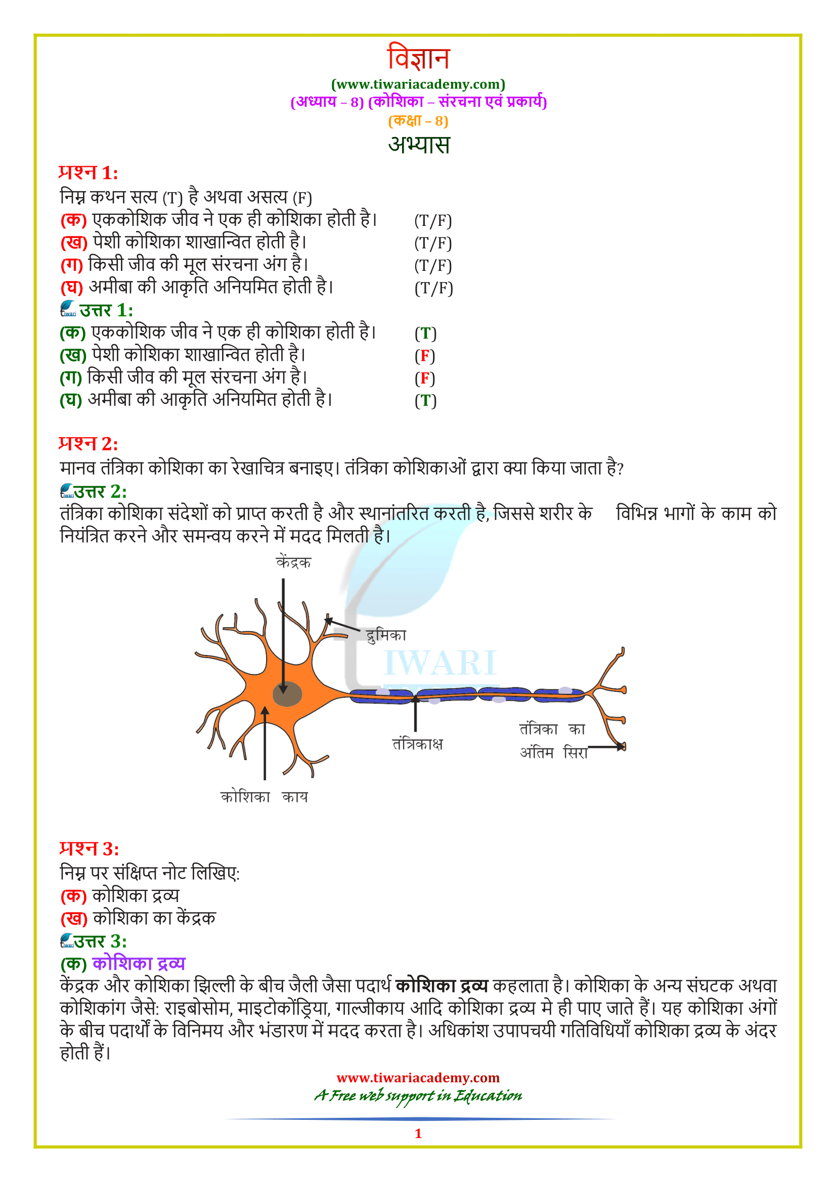 NCERT Solutions For Class 8 Science Chapter 8 Hindi English 2022-2023.