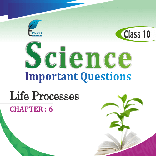 case study questions class 6 science chapter 10