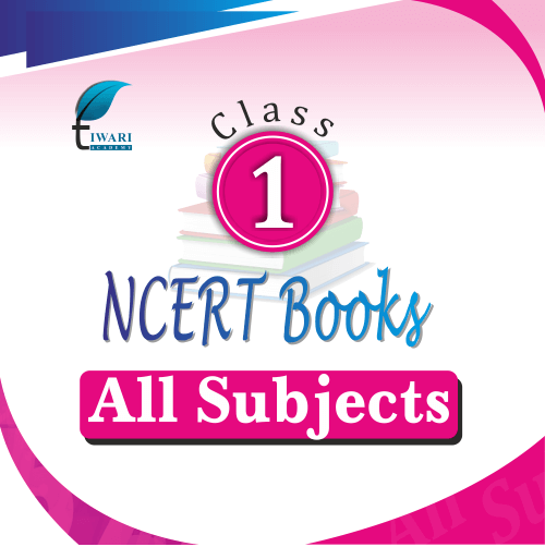 ncert books for class 1 all subjects hindi english evs maths