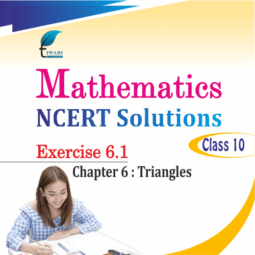 NCERT Solutions For Class 10 Maths Chapter 6 Exercise 6.1 Triangles