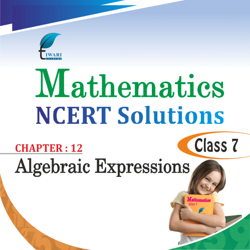 NCERT Solutions For Class 7 Maths Chapter 12 Algebraic Expressions