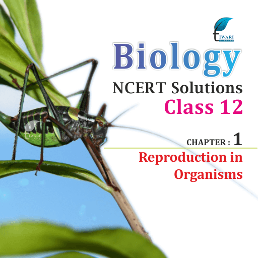 NCERT Solutions For Class 12 Biology Chapter 1 In PDF For 2022-23