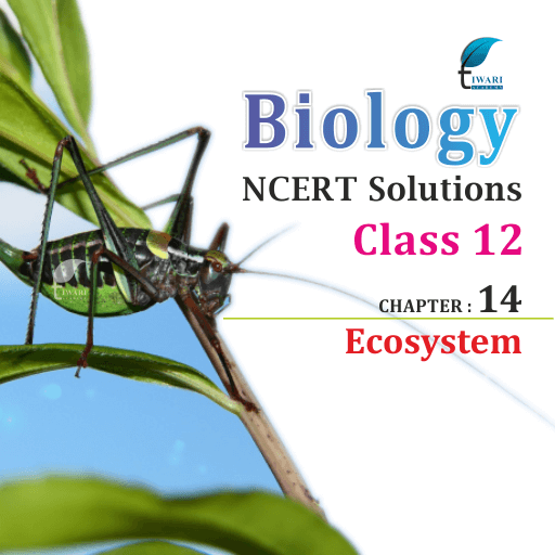 NCERT Solutions For Class 12 Biology Chapter 14 Ecosystem In PDF