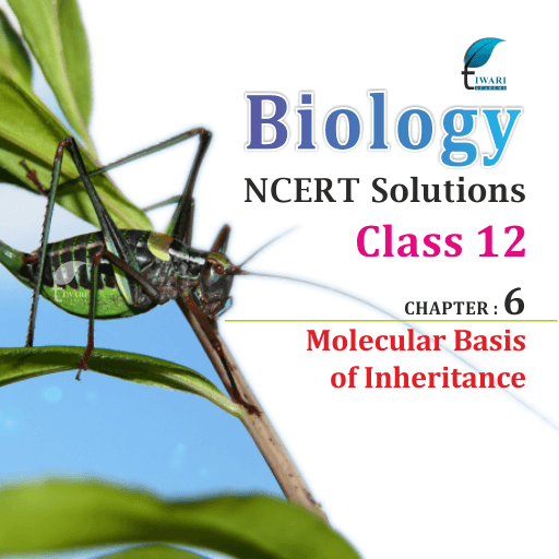 NCERT Solutions For Class 12 Biology Chapter 6 In PDF For (2022-23)