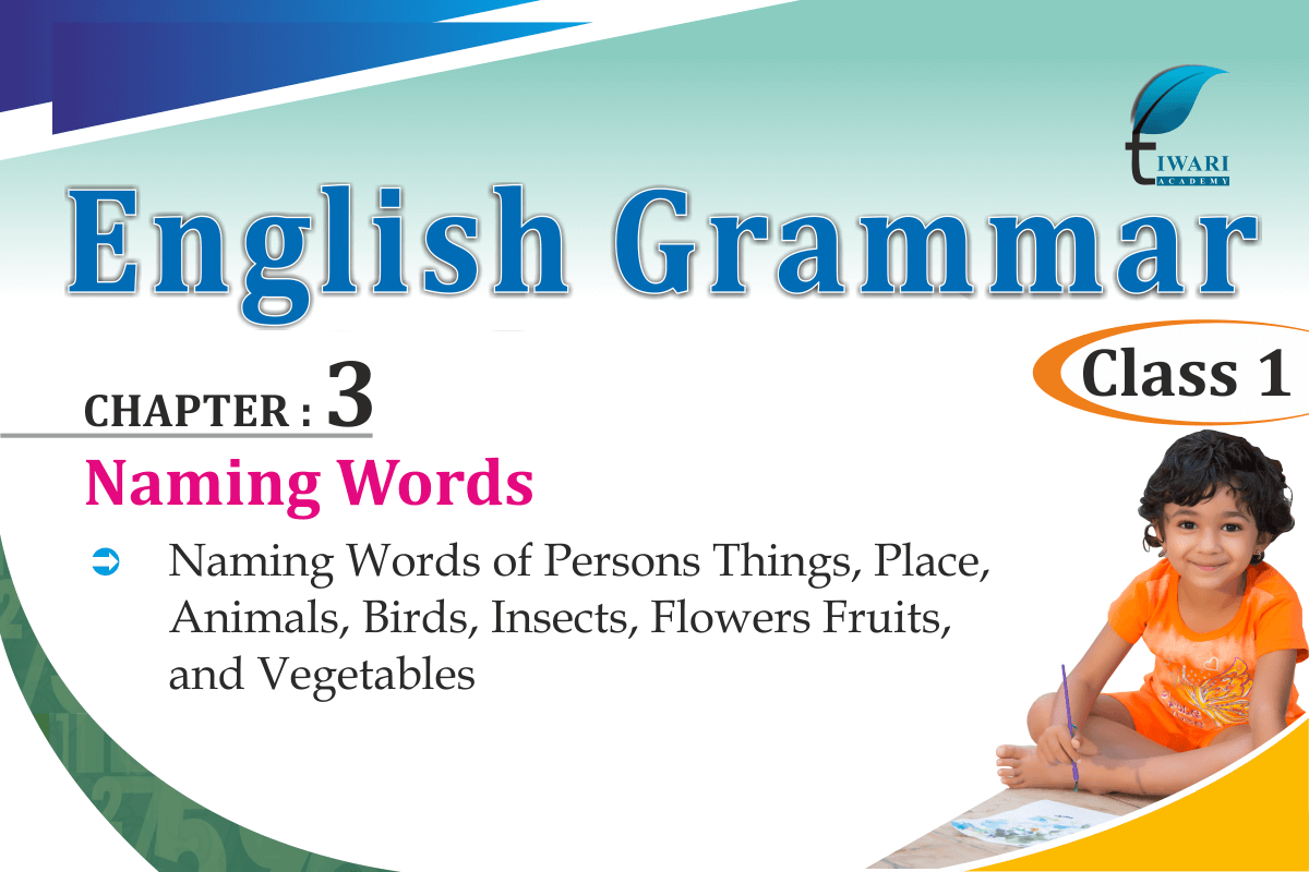 class-1-english-grammar-chapter-3-naming-words-types-of-noun-examples