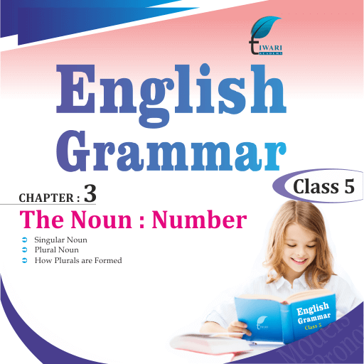 Class 5 English Grammar Chapter 3 The Noun Number, Singular Plural.