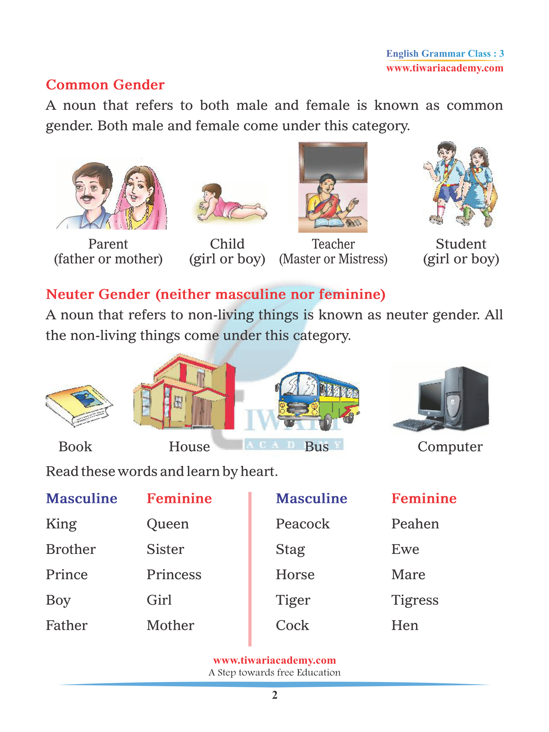 Gender Nouns Worksheet For Class 3