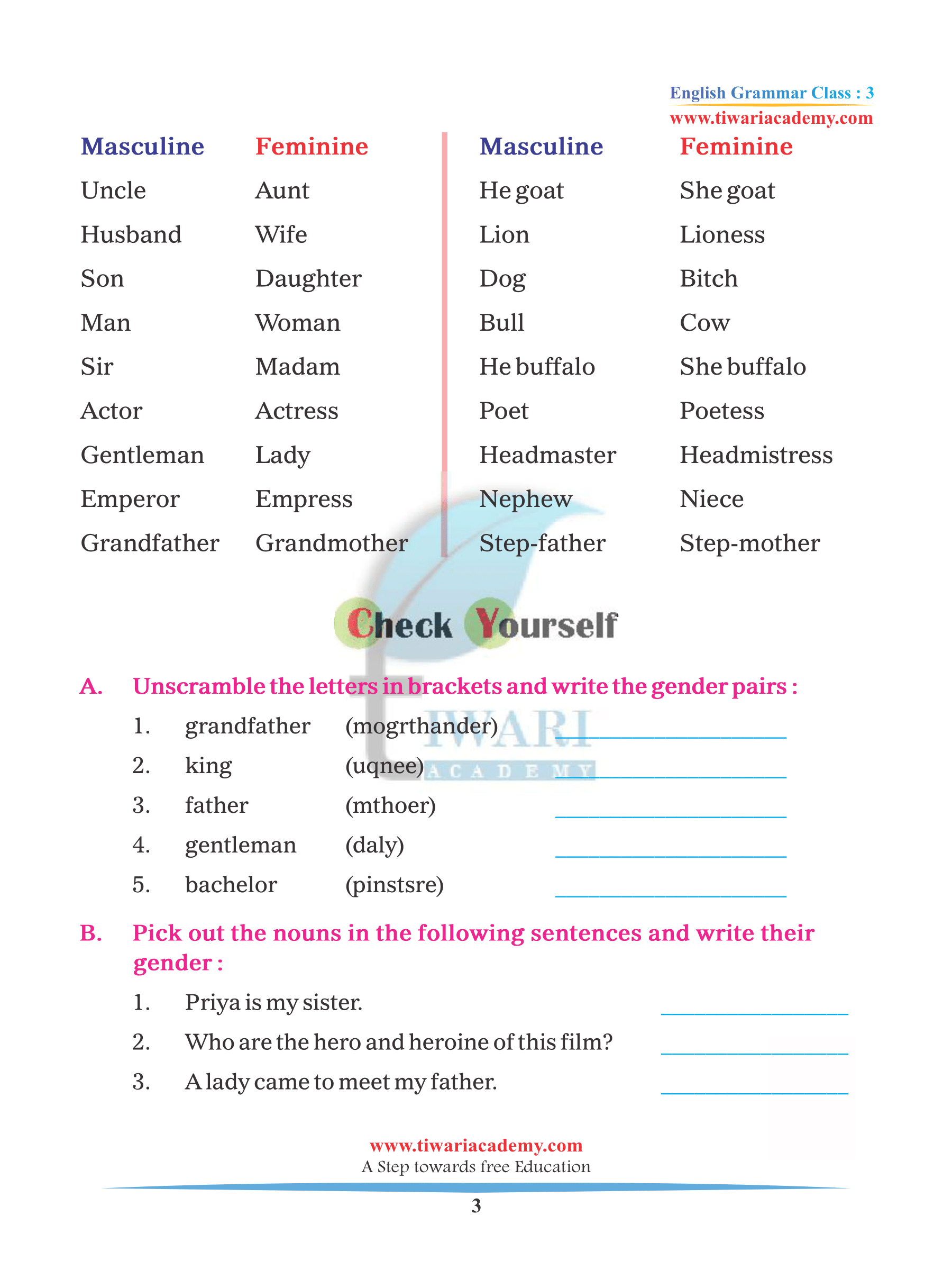 Noun Number And Gender Worksheets