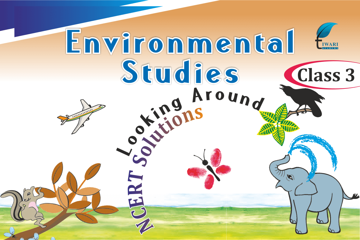 Ncert Solutions For Class 3 Evs Environmental Studies Looking Around