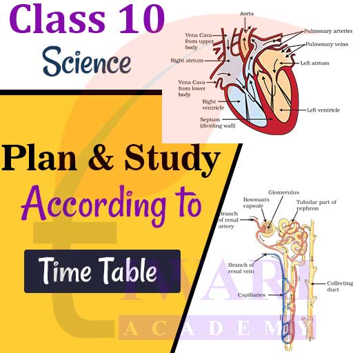 Step 2: Plan and Study according to Time Table.