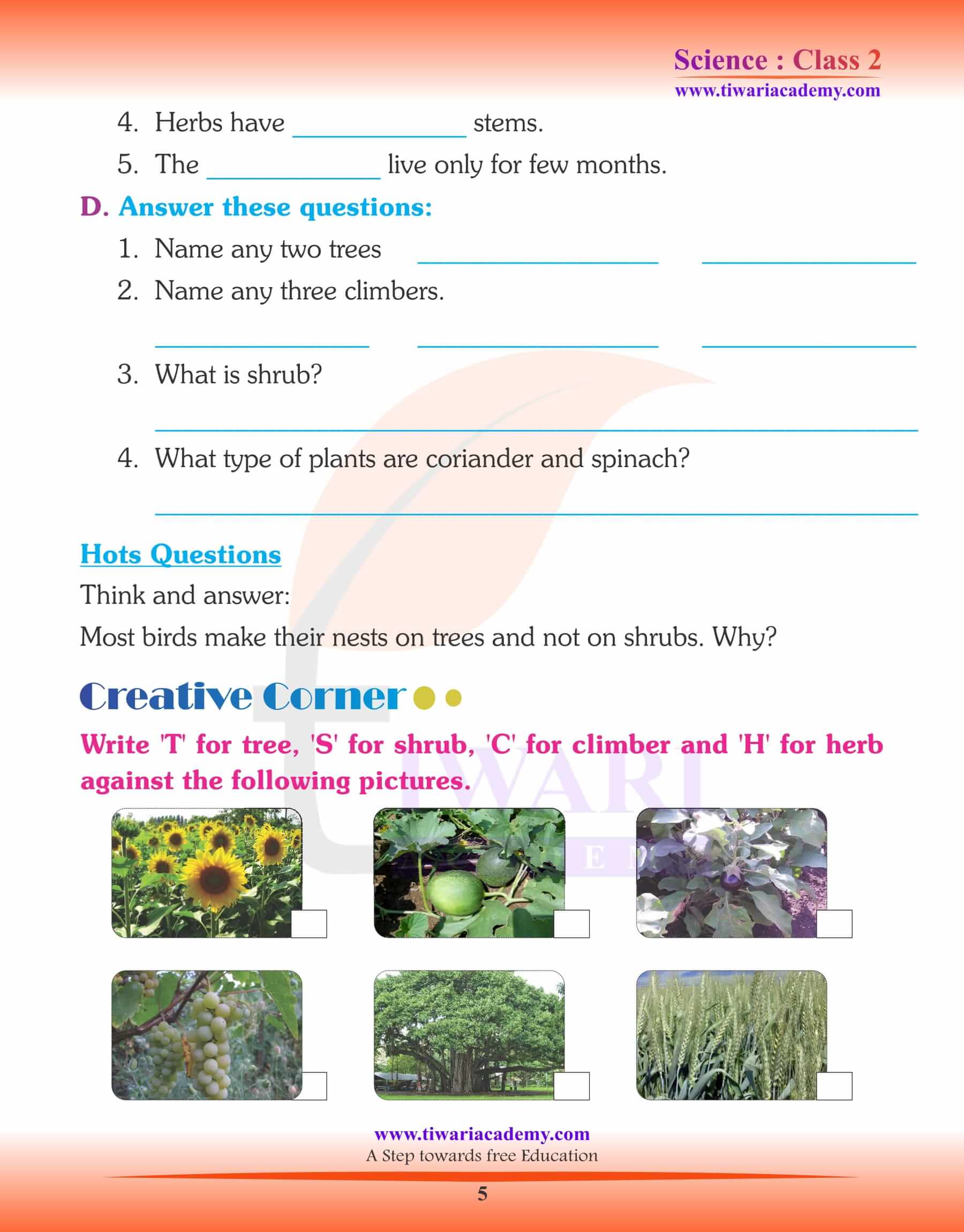 ncert-solutions-for-class-2-science-chapter-1-plants-around-us