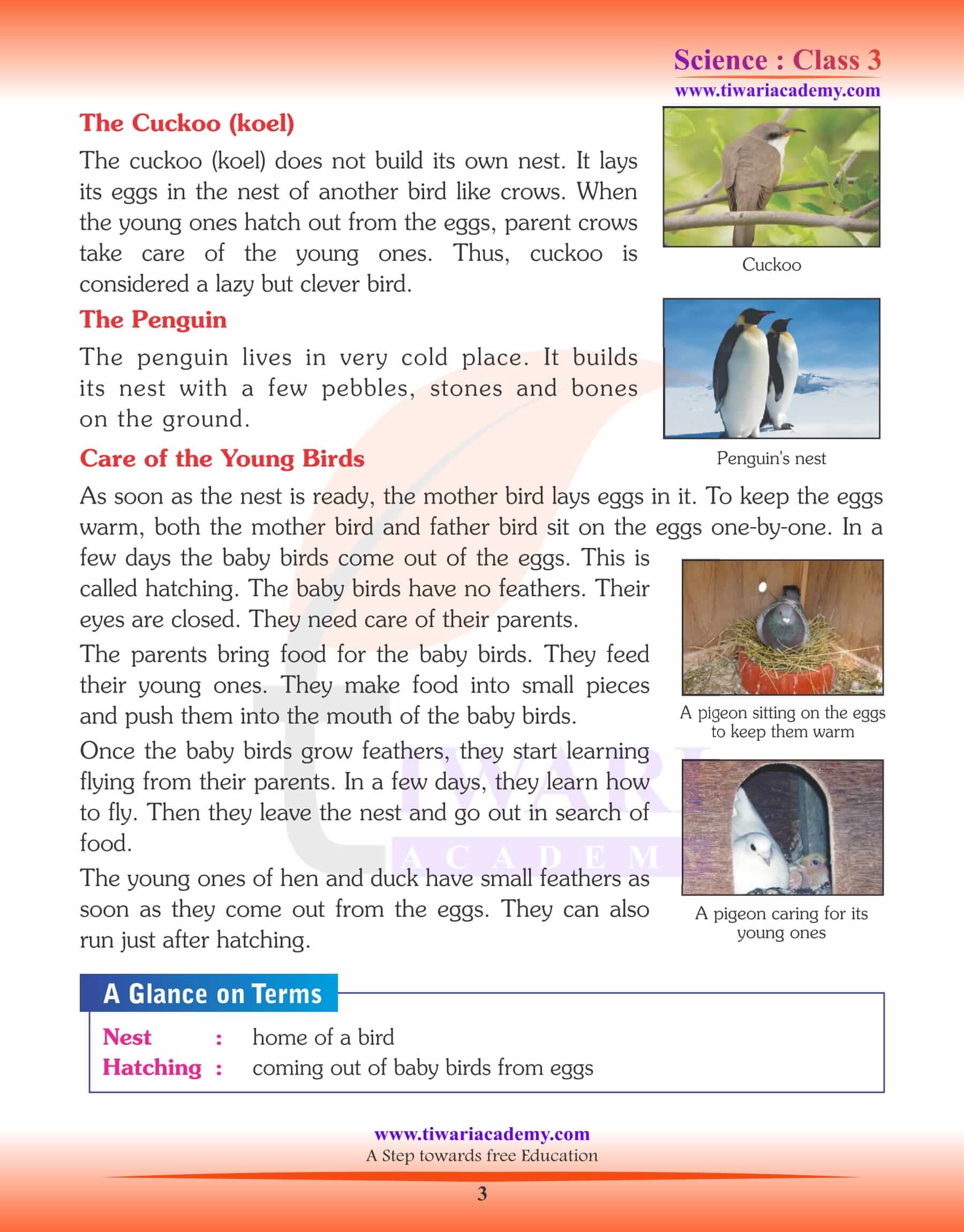 NCERT Solutions for Class 3 Science Chapter 4 Nestling Habits of Birds