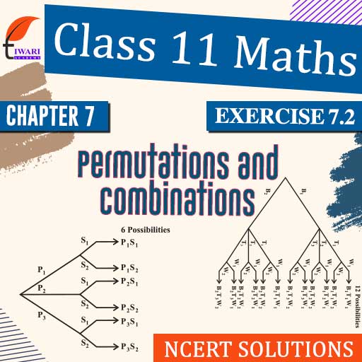 Grade 11 Maths Exercise Book