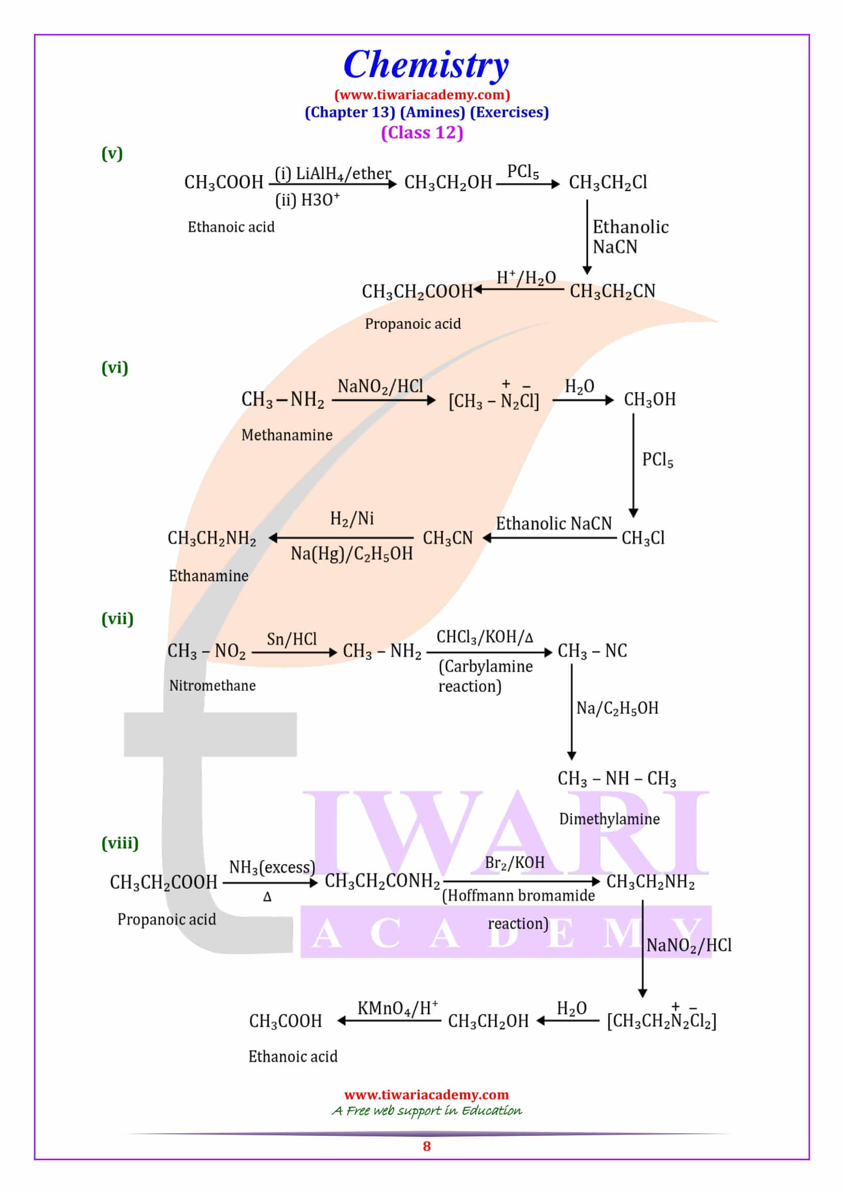 NCERT Solutions For Class 12 Chemistry Chapter 13 Amines