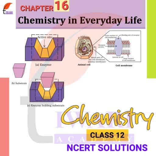 NCERT Solutions For Class 12 Chemistry Chapter 16 Chemistry Everyday