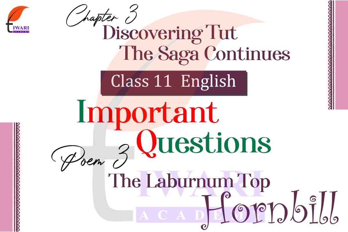 class-11-english-hornbill-chapter-3-important-question-discovering-tut