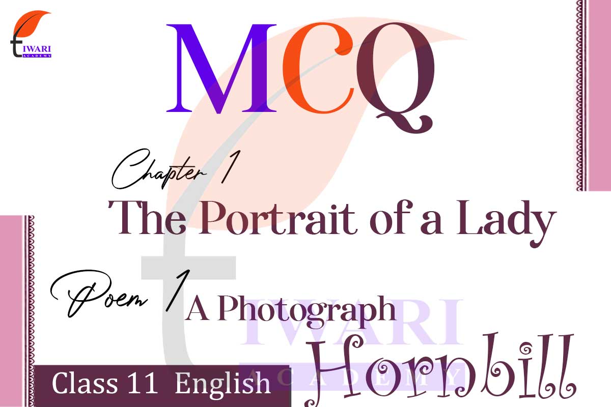 class-11-english-hornbill-chapter-1-mcq-of-the-portrait-of-a-lady