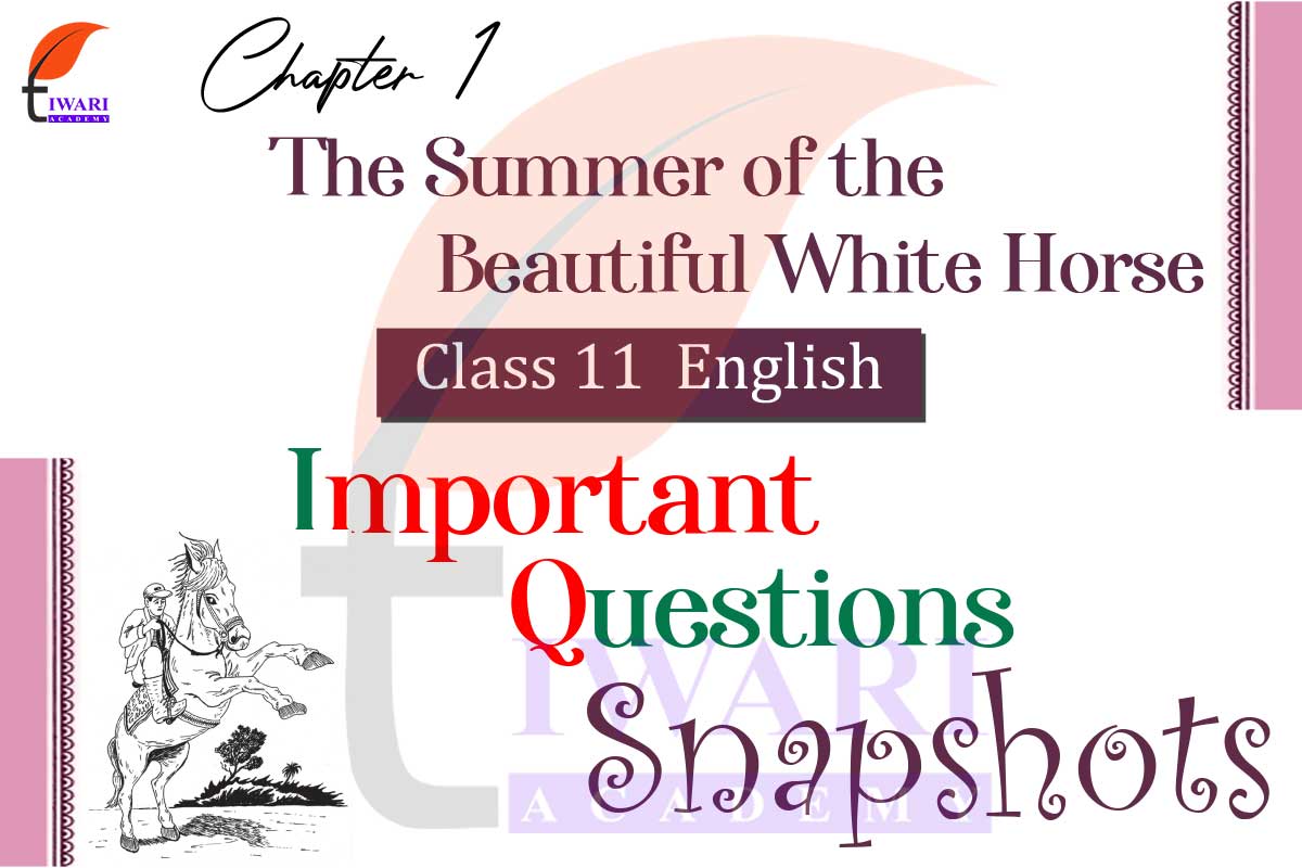 class-11-english-snapshots-chapter-1-important-questions-the-summer