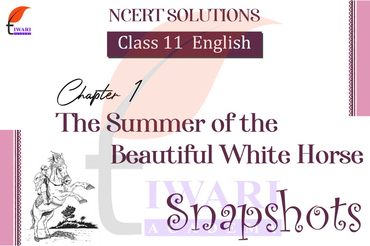 Class 11 English Snapshots Chapter 1 Summary In Hindi