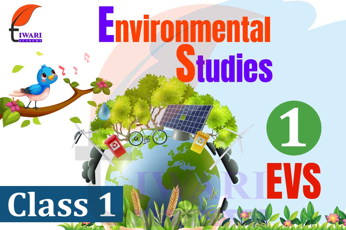 Ncert Solutions For Class 1 Evs Environmental Studies