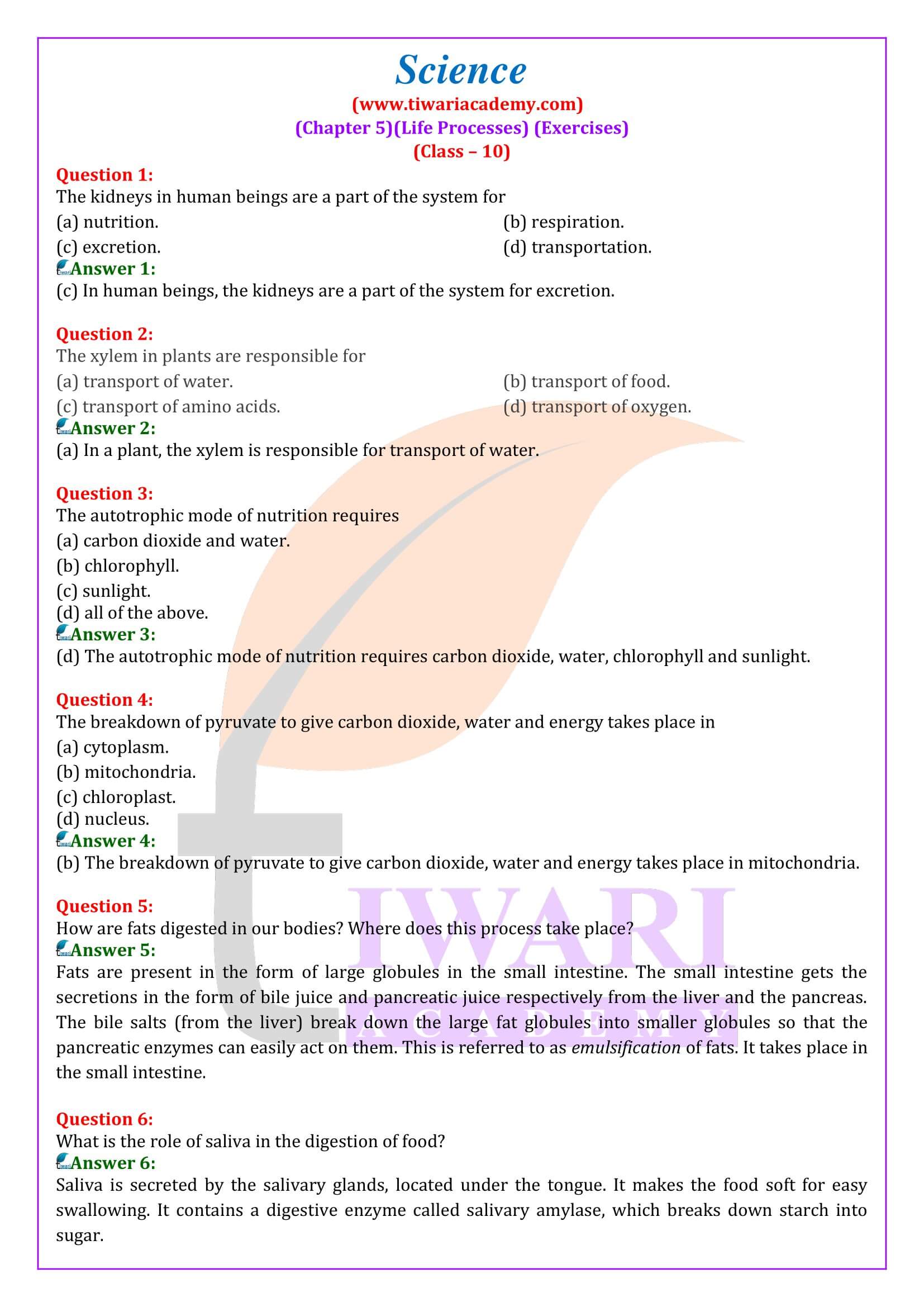 case study questions class 10 science life processes