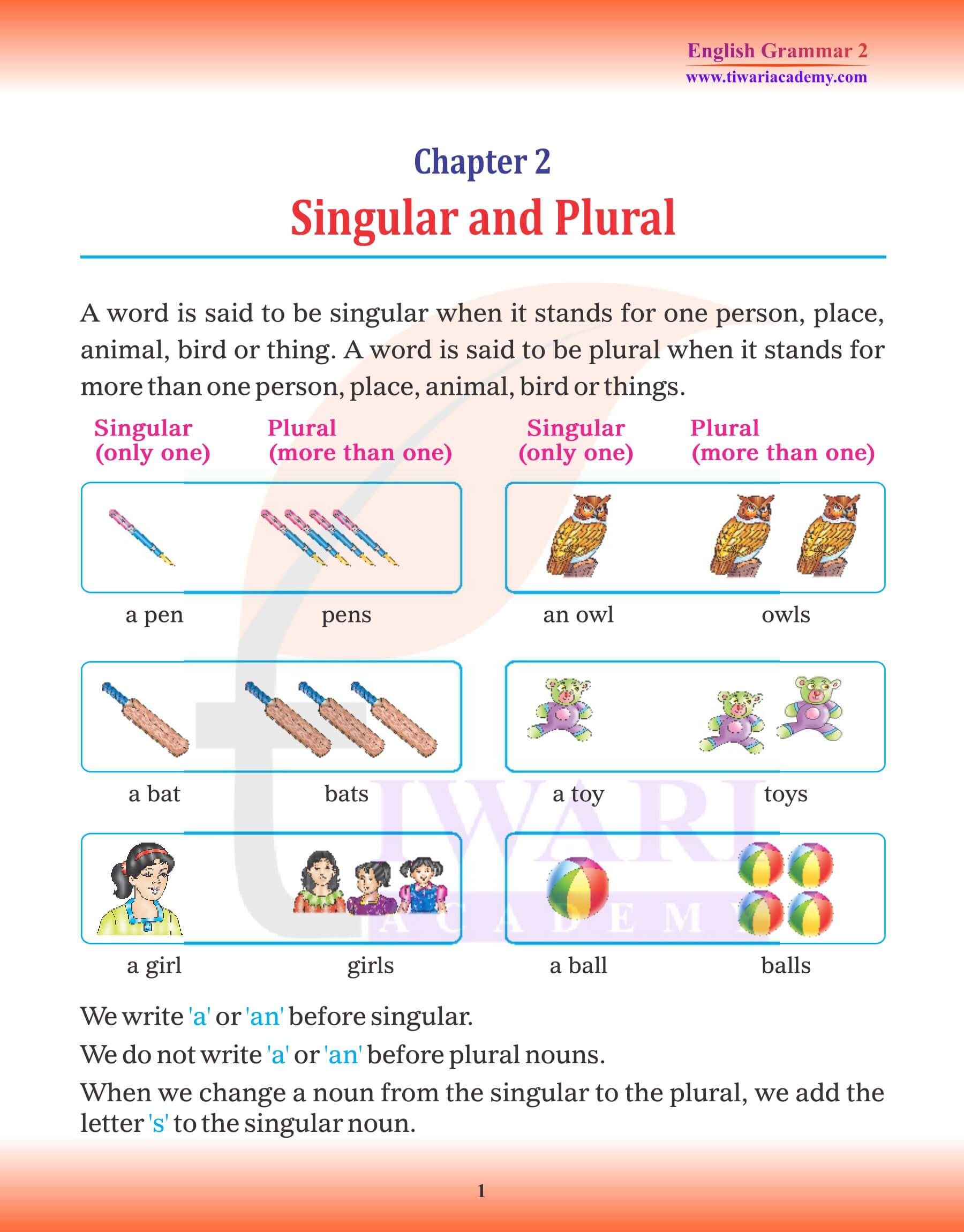 Class English Grammar Chapter Singular And Plural And Assignments