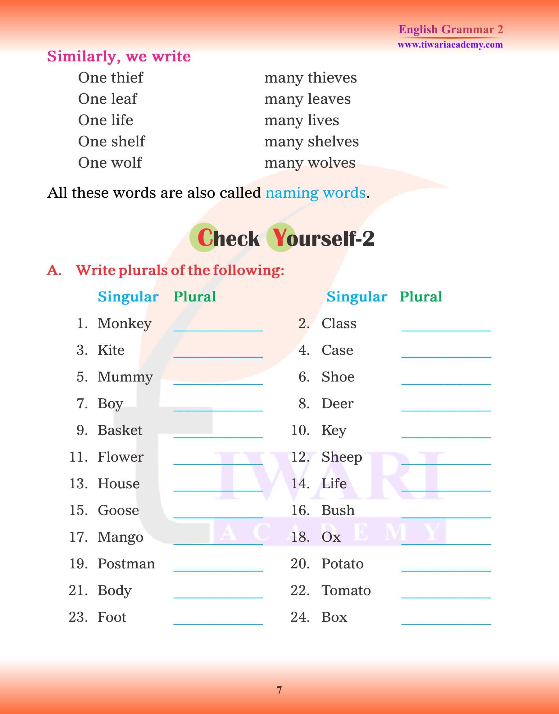 English - Class 1: One and Many (Singular and Plural) Worksheet 2 (Answer)