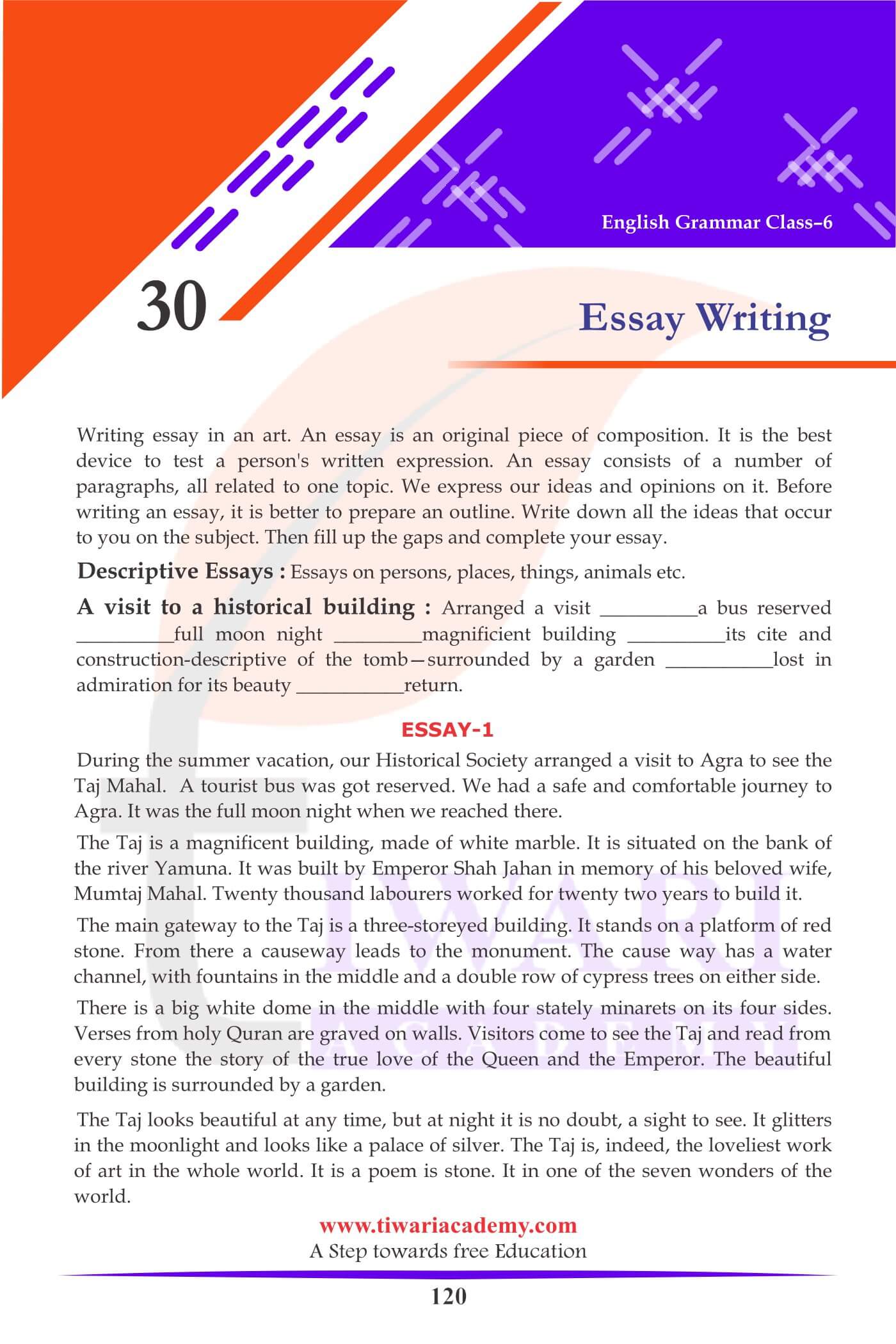 essay for 6th class english