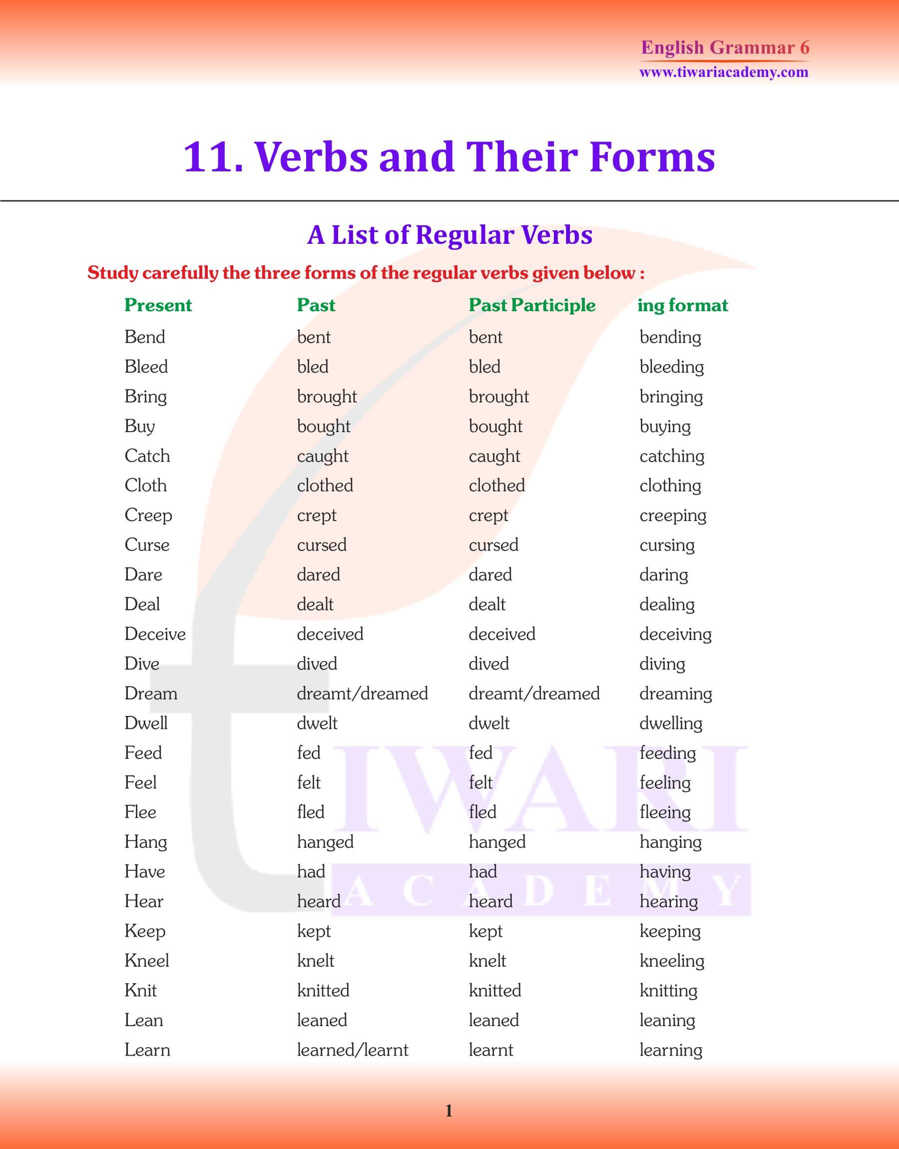 Class 6 English Grammar Chapter 11 Verbs and Their Forms PDF Video.