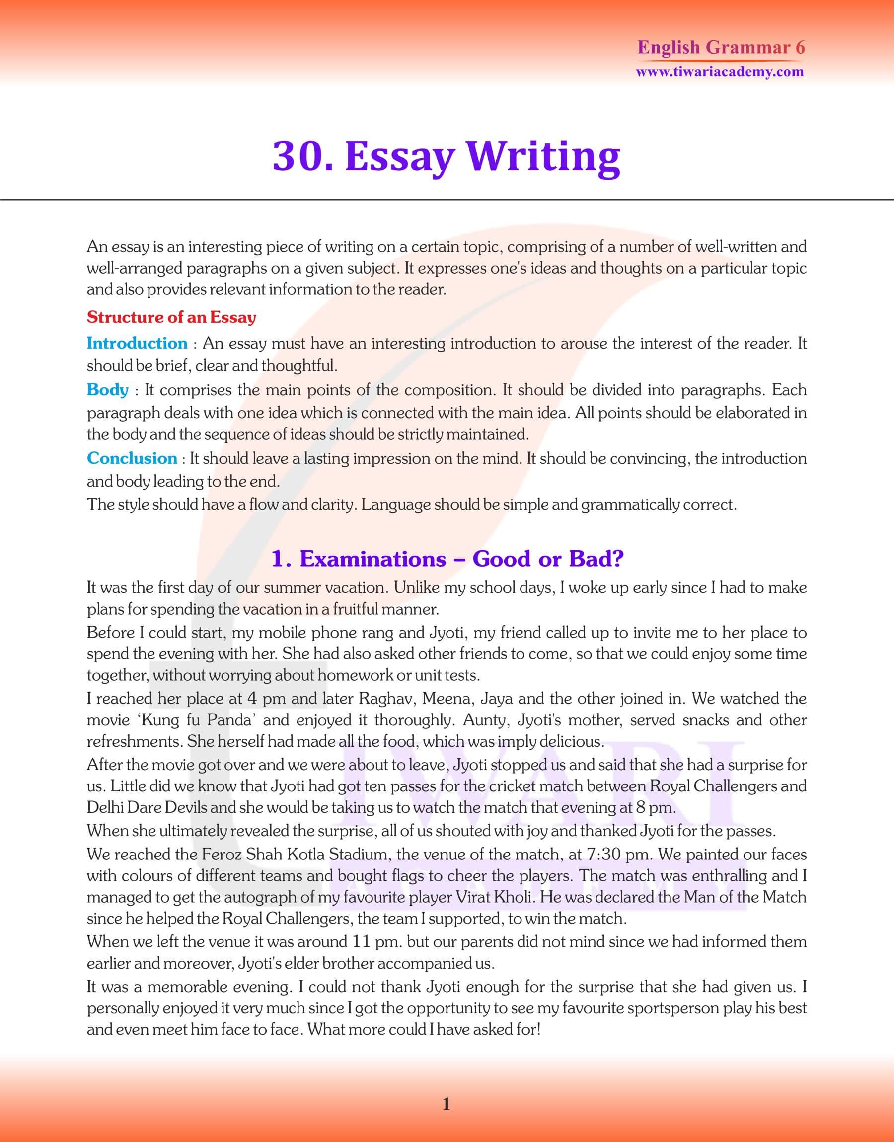 essay writing examples class 6