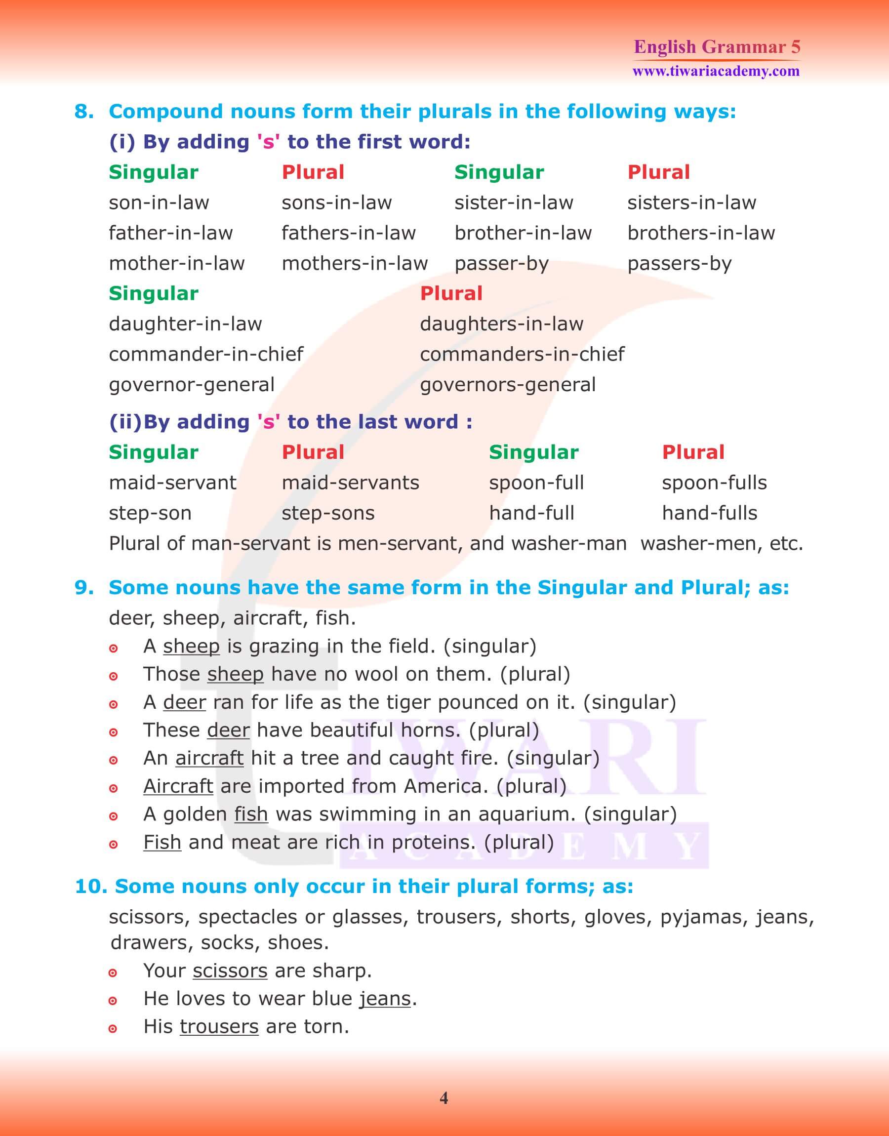 Singular and Plural Nouns  Definition Rules Exercise Singular and Plural  Nouns Examples