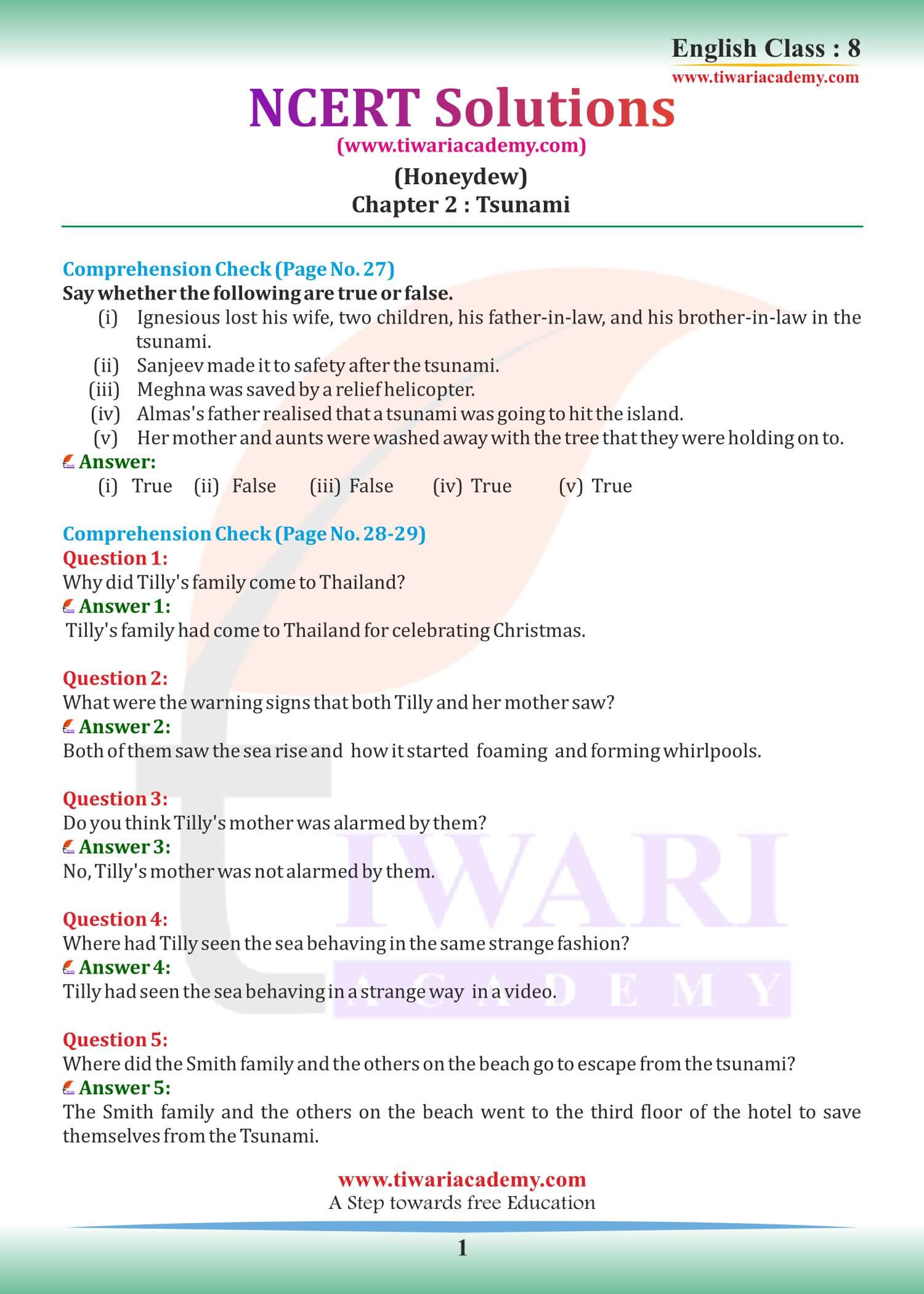 NCERT Solutions for Class 8 English Honeydew Chapter 2 The Tsunami
