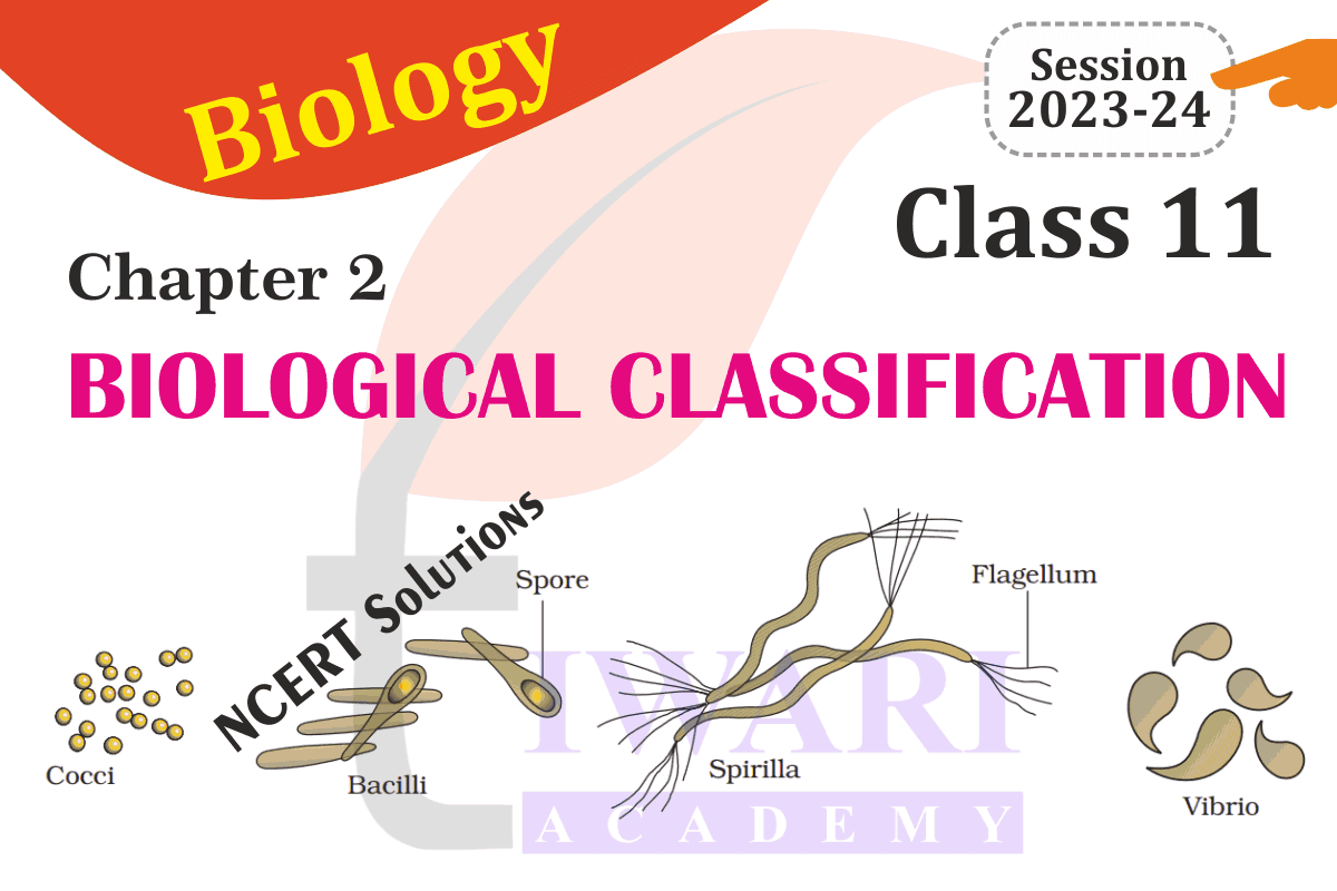 Ncert Solutions Class 11 Biology Chapter 2 Biological Classification