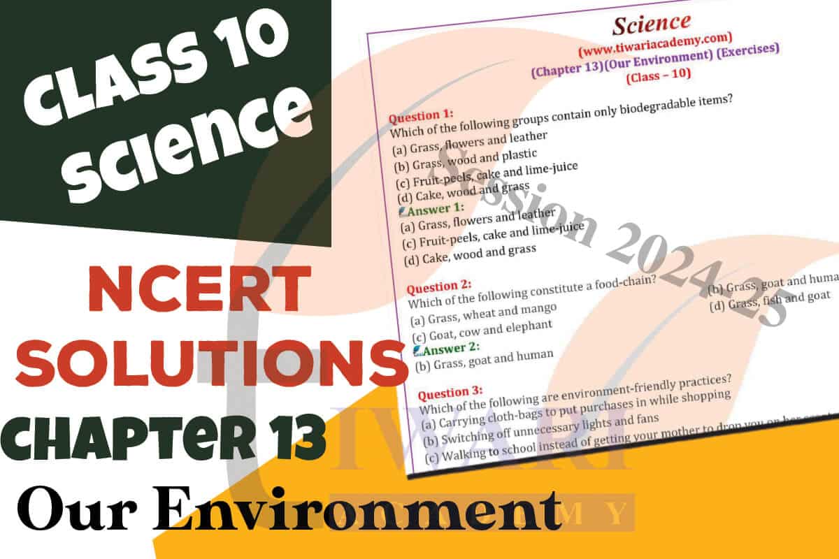 Class 10 Science Chapter 13 Topics